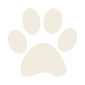 paw