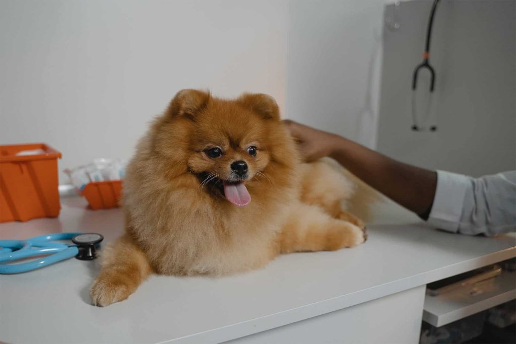pom